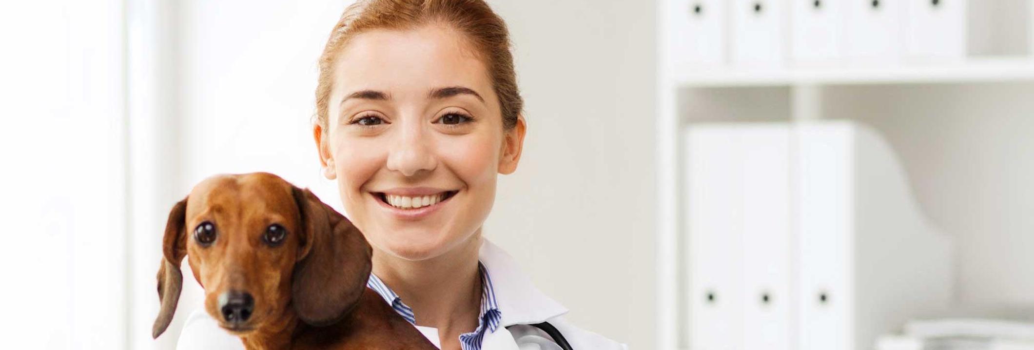 student veterinarian holding dog