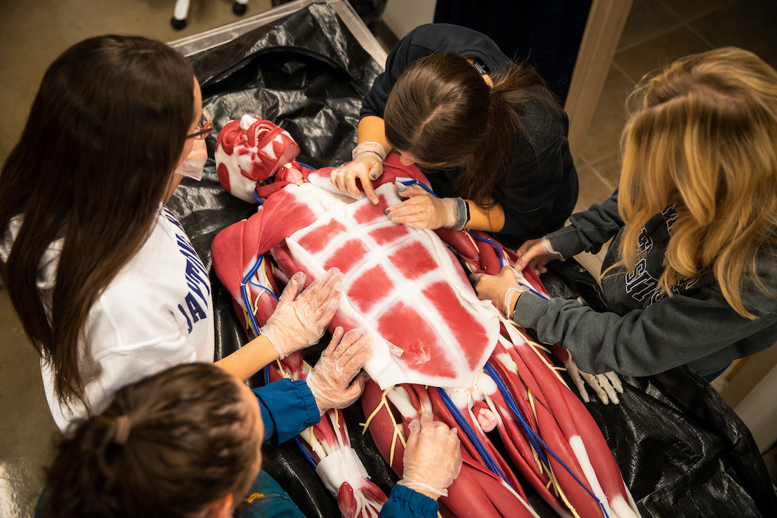 Students in the syndaver lab